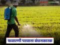 'या' फवारणीसाठी कृषी विभागाचा परवाना बंधनकारक, काय आहे नवीन निर्णय  - Marathi News | Latest News license from the Agriculture Department is mandatory for spraying pesticides | Latest agriculture News at Lokmat.com
