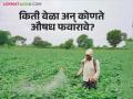 Crops on Pests, Caterpillars : शेतकरी पिकांवर कीड, अळ्यांच्या प्रादुर्भावाने चिंताग्रस्त - Marathi News | Crops on Pests, Caterpillars : Farmers worried about pests, caterpillars on crops | Latest agriculture News at Lokmat.com