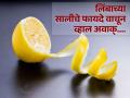 वजन कमी करण्यापासून ते कोलेस्ट्रॉल दूर करण्यापर्यंत लिबांच्या साली होतात 'हे' फायदे! - Marathi News | Did You Know Lemon Peels Are Good For Your Health? | Latest health News at Lokmat.com