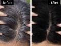 How to get rid from white hair : पांढरे केस दिवसेंदिवस वाढत चाललेत? काळेभोर, दाट केस मिळवून देतील स्वयंपाक घरातील २ पदार्थ - Marathi News | How to get rid from white hair : white hair to hair fall tulsi patta and myrobalan removes many hair problems know way to use | Latest sakhi News at Lokmat.com