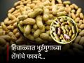 हिवाळ्यात भुईमुगाच्या शेंगा खाण्याचे फायदे, अनेक समस्या होतील दूर... - Marathi News | Winter Care Tips : Know the boiled peanuts health benefits | Latest health News at Lokmat.com