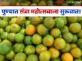 Orange Festival : पुणेकरांनो थेट शेतकऱ्यांकडून खरेदी करा संत्रा! आजपासून कोथरूडमध्ये संत्रा महोत्सवाला सुरूवात - Marathi News | Pune: Punekars, buy oranges directly from farmers | Latest agriculture News at Lokmat.com