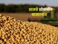दिवाळीच्या तोंडावर सोयाबीनचे काय आहेत बाजारभाव? जाणून घ्या.. - Marathi News | | Latest agriculture News at Lokmat.com