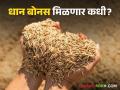 शेतकरी धान बोनसच्या प्रतीक्षेत; शेतकऱ्यांना दिवाळी अंधारात जाण्याची भीती - Marathi News | Farmers are waiting for paddy bonus; Farmers fear going into Diwali darkness | Latest agriculture News at Lokmat.com