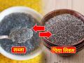 सब्जा आणि चिया सीड्समध्ये नेमका फरक काय? आहारतज्ज्ञ सांगतात, दोन्ही खाण्याचे फायदे आणि तोटे - Marathi News | Benefits and Difference Between Sabja And Chia Seeds : What exactly is the difference between Sabja and Chia seeds? Nutritionists say, the benefits of both... | Latest sakhi News at Lokmat.com