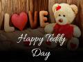 Teddy Day : ...म्हणून मुलींना आवडतात ‘या’ रंगांचे टेडी, कोणत्या रंगाचा टेडी काय दर्शवतो? - Marathi News | Teddy Day: ... so girls love ‘these’ color teddy, what color teddy represents? | Latest sakhi News at Lokmat.com