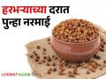 हरभऱ्याच्या दरात घसरण; शेतकऱ्यांची आर्थिक कोंडी वाढली - Marathi News | fall in gram prices; Financial crisis of farmers increased | Latest agriculture News at Lokmat.com