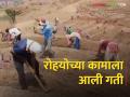 रोहयोच्या कामाला आली गती; बेरोजगारांच्या हाताला रोजगार - Marathi News | Rohyo's work gained momentum; Employment for the unemployed | Latest agriculture News at Lokmat.com