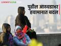 Maharashtra Weather Update : पुढील आठवडाभर थंडी कमी, तापमान वाढणार, नेमका कशाचा परिणाम?  - Marathi News | Latest News maharashtra weather update fenjal cyclone effect Less cold and temperature will rise for next week | Latest agriculture News at Lokmat.com