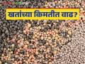 Fertilizer Price : कच्च्या मालाचे दर वाढल्यामुळे रासायनिक खतांच्या दरात वाढ - Marathi News | Fertilizer Price : Increase in prices of chemical fertilizers due to increase in prices of raw materials | Latest agriculture News at Lokmat.com