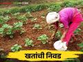 खरीपातील पिकांसाठी खतांची निवड कशी करावी? - Marathi News | How to choose fertilizers for Kharif crops? | Latest agriculture News at Lokmat.com