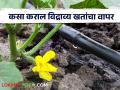 खतांचा अपव्यय टाळण्यासाठी व पिकांच्या जोमदार वाढीसाठी करा ह्या तंत्राचा अवलंब - Marathi News | Follow this technique to avoid wastage of fertilizers and for vigorous growth of crops | Latest agriculture News at Lokmat.com