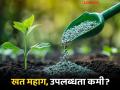 Fertilizer Shortage : आंतरराष्ट्रीय तणावाचा फटका; यंदाचा खरीप हंगाम अडचणीत? - Marathi News | latest news Fertilizer Shortage: Impact of international tensions; Is this year's Kharif season in trouble? | Latest agriculture News at Lokmat.com
