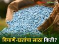 Fertilizers Stock : खतांची टंचाई नाही, मागील वर्षीचा 41हजार मेट्रिक टन खताचा साठा शिल्लक - Marathi News | Latest News Last year's 41 thousand metric ton fertilizer stock remaining in nashik district | Latest agriculture News at Lokmat.com