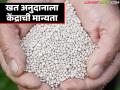 रब्बी हंगामासाठी 'या' खतांवर एनबीएस आधारित अनुदानाला केंद्रीय मंत्रिमंडळाची मान्यता - Marathi News | Union Cabinet approves NBS based subsidy on 'this' fertilizers for Rabi season | Latest agriculture News at Lokmat.com