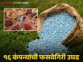 Fake Fertilizer : खरीप हंगामात शेतकऱ्यांची फसवणूक; ३३ नमुने फेल, १६ कंपन्यांवर कारवाई वाचा सविस्तर - Marathi News | latest news Fake Fertilizer: Farmers cheated during Kharif season; 33 samples failed, action taken against 16 companies | Latest agriculture News at Lokmat.com