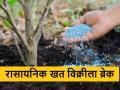 ....म्हणून रासायनिक खतांच्या गोणी विक्रीला लागला ब्रेक, नेमकं कारण काय?  - Marathi News | Latest News Chemical fertilizer sales break due to conduct of Lok Sabha elections | Latest agriculture News at Lokmat.com