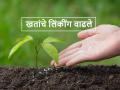 Kharif Fertilisers: खतासोबत नको असलेली उत्पादने शेतकऱ्यांच्या माथी ! - Marathi News | Linking of agri product in Kharif season Unwanted products with fertilizer on farmers! | Latest agriculture News at Lokmat.com