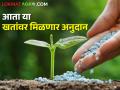 शेतकऱ्यांना दिलासादायक बातमी; येणाऱ्या खरिपासाठी तीन नवीन खतांवर मिळणार अनुदान - Marathi News | Good news for farmers; Subsidy will be given on three new fertilizers for the upcoming harvest | Latest agriculture News at Lokmat.com