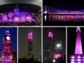 डे नाइट ऐतिहासिक सामन्यात होणार गुलाबी रंगाची उधळण, पाहा... - Marathi News | See the pink light at the day-night historic match, see ... | Latest cricket Photos at Lokmat.com
