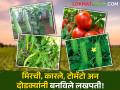 कृषी पदवीधारक युवा शेतकऱ्याने धरली आधुनिकतेची कास - Marathi News | A young farmer holding a degree in agriculture embraced modernity | Latest agriculture News at Lokmat.com