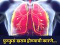 फक्त सिगारेटच नाही तर या गोष्टींमुळेही फुप्फुसं होतात खराब, लगेच खाणं करा बंद! - Marathi News | These foods will do bad impact on Lungs, you should know | Latest health News at Lokmat.com