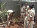 कल्याण तालुक्यात वनविभागाच्या वतीने फळझाडांचे वृक्षारोपण - Marathi News | Plantation of fruit trees on behalf of Forest Department in Kalyan Taluk | Latest kalyan-dombivli News at Lokmat.com