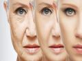 Anti-Aging Foods :  कमी वयातच चेहरा वयस्कर झाल्यासारखा वाटतोय? रोज खा ५ पदार्थ, मरेपर्यंत टळतील म्हातारपणाची लक्षणं - Marathi News | Anti-Aging Foods : longevity expert and harvard geneticist david sinclair reveal 5 anti aging foods | Latest sakhi News at Lokmat.com