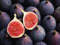 अंजीर : फळ कसे, हे तर फुलच ! - Marathi News | Fig: How about a fruit, this is a flower! | Latest food News at Lokmat.com