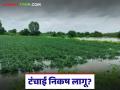 Final Annewari : अतिवृष्टीचा फटका! ‘या’ जिल्ह्याच्या दुष्काळी स्थितीवर शिक्कामोर्तब वाचा सविस्तर - Marathi News | latest news Final Annewari: Heavy rain hits! Read the details of the drought situation in this district | Latest agriculture News at Lokmat.com