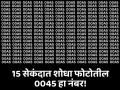 चॅलेंज! 15 सेकंदात शोधून दाखवा फोटोतील 0045 हा वेगळा नंबर, 90 टक्के लोक झाले फेल! - Marathi News | Discover The Hidden Number 0045 In This Optical Illusion | Latest social-viral News at Lokmat.com