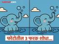 पाण्यात खेळत असलेल्या हत्तीच्या पिल्लाच्या फोटोत आहेत ३ फरक, २३ सेकंदात शोधून दाखवा! - Marathi News | Spot the 3 Differences in Elephant Playing in Water Picture | Latest social-viral News at Lokmat.com
