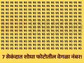 चॅलेंज! तुमचे डोळे तीक्ष्ण आहेत असं वाटत असेल तर 7 सेकंदात शोधा फोटोतील वेगळा नंबर! - Marathi News | Optical illusion : Can you spot the letter 59 among 95 in 7 second | Latest social-viral News at Lokmat.com