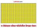 जीनिअस असाल तर 11 सेकंदात शोधून दाखवा फोटोतील वेगळा नंबर, 90 टक्के झालेत फेल! - Marathi News | Optical Illusion : Find out hidden 603 number from picture in 11 second | Latest social-viral News at Lokmat.com