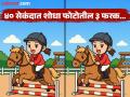 घोडा चालवत असलेल्या मुलीच्या फोटोत आहेत ३ फरक, ४० सेकंदात शोधण्याचं आहे चॅलेंज! - Marathi News | Optical Illusion : Can You Find 3 Differences in Girl Riding Horse Picture in Just 40 Seconds | Latest social-viral News at Lokmat.com