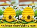 चॅलेंज! मधमाश्यांच्या एकासारख्या दिसणाऱ्या दोन फोटोत आहेत ३ फरक, १२ सेकंदात शोधा! - Marathi News | Optical Illusion : Only genius can find 3 difference in this bee photo in 12 second | Latest social-viral News at Lokmat.com
