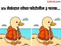 चॅलेंज! हुडी घातलेल्या बदकाच्या चित्रात आहेत ३ फरक, तीक्ष्ण डोळे असणारेच शोधू शकतील... - Marathi News | Spot Three Differences In This Picture Of A Duck Wearing A Hoodie In Under 45 Seconds? | Latest social-viral News at Lokmat.com