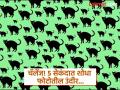 Optical Illusion : मांजरींच्या गर्दीत लपून बसलाय एक छोटासा उंदीर, 5 सेकंदात शोधण्याचं आहे चॅलेंज! - Marathi News | Optical illusion : Can you find a mouse hidden among with cats in 5 seconds | Latest social-viral News at Lokmat.com