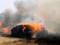 विद्यूत तारांमुळे आग लागून शेतकऱ्याचे ९ लाखांचे नुकसान - Marathi News | Farmers lost 9lakh due to fire due to electric wires | Latest buldhana News at Lokmat.com