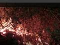 शिरोडा वेळागर येथील देव लिंगेश्वर मंदिरच्या मागे अचानक लागली आग - Marathi News | A fire broke out behind the Dev Lingeshwar temple at Shiroda Velagar | Latest sindhudurga News at Lokmat.com