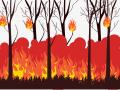 कागदोपत्री लागवडीमुळेच पेटली वनीकरणाची हजारो झाडे! - Marathi News | Thousands of plants burn to hide corruption in plantation! | Latest buldhana News at Lokmat.com