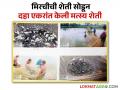 Fish Farming : मिरचीची शेती सोडून 10 एकरांत सुरू केली मत्स्य शेती, नागपूरच्या शेतकऱ्याची यशोगाथा  - Marathi News | latest News Leaving chilli farming and starting fish farming in 10 acres success story of Nagpur farmer  | Latest agriculture News at Lokmat.com
