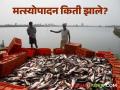 Fish Production : देशात 2024-25 मध्ये 197.75 लाख टन मत्स्योत्पादन, दहा वर्षात 106 टक्क्यांची वाढ  - Marathi News | | Latest agriculture News at Lokmat.com