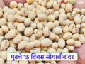 Soyabean Market : जानेवारी महिन्याचे पुढील पंधरा दिवस सोयाबीनचे दर कसे राहतील? वाचा सविस्तर  - Marathi News | Latest News How will soybean prices be in the next fifteen days of January Read in detail | Latest agriculture News at Lokmat.com