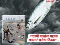 दरवर्षी 'या' ठिकाणी पडतो माशांचा पाऊस, जाणून घ्या यामागचं रहस्य आणि वैज्ञानिकांचं मत... - Marathi News | This country has seen fish falling from the sky for over 100 years | Latest jarahatke News at Lokmat.com