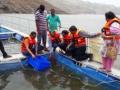 सातपुडय़ातील मच्छिमार संस्थांना सव्वा लाख मत्स्यबिजांचे वाटप - Marathi News | Allocated fish stock to seven fishermen fisheries organizations | Latest nandurbar News at Lokmat.com