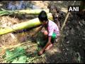 फिशनेटमध्ये अडकलेल्या सापाचा चिमुकल्यांनी वाचवला जीव - Marathi News | Minor children rescue non-venomous snake trapped in fishnet | Latest national Videos at Lokmat.com