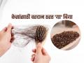 केसांची वाढ थांबलीये, केस गळतात 'या' बियांचा करा वापरा; लोक विचारत सुटतील उपाय - Marathi News | How beneficial is flax seeds for hair and how to use its | Latest sakhi News at Lokmat.com