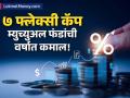 'या' ७ फ्लेक्सी कॅप म्युच्युअल फंडांनी गुंतवणूकदारांना केलं मालामाल; वर्षभरात दिला ४७% पर्यंत परतावा - Marathi News | year ender 2024 these 7 flexi cap mutual fund schemes gave investors bumper returns of up to 47 this year 2024 | Latest business News at Lokmat.com
