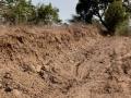 माेर्णा नदीच्या पूरसंरक्षण भिंतीचे अवैधरीत्या खाेदकाम - Marathi News | Illegal excavation of flood protection wall of Morna river | Latest akola News at Lokmat.com